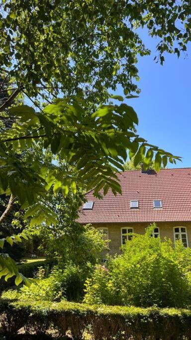 Idyllisches Appartement Nahe Ostsee Und Schlei Rabenkirchen-Faulueck Экстерьер фото